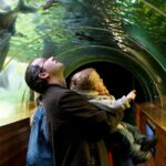 Lakes Aquarium tunnel