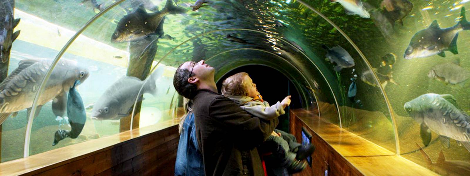 Lakes Aquarium tunnel