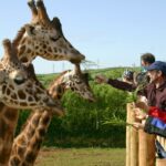 South Lakes Safari Zoo